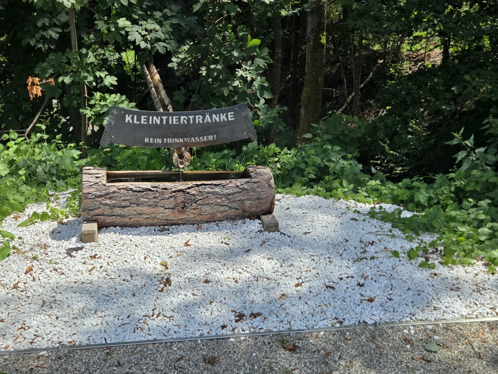 Kleintiertränke aus einem ausgehöhlten Baumstamm neben der Ladestation